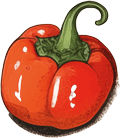 Handgezeichnete rote Paprika als Dekorationselement